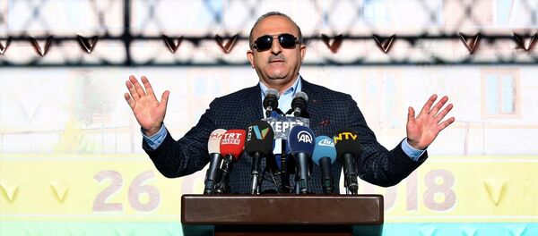 Mevlüt Çavuşoğlu - Sputnik Türkiye