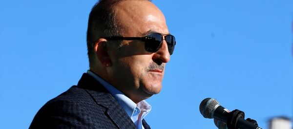 Mevlüt Çavuşoğlu - Sputnik Türkiye