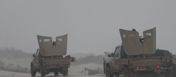 Barsaya Dağı Afrin Zeytin Dalı - Sputnik Türkiye