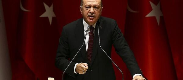 Cumhurbaşkanı Recep Tayyip Erdoğan - Sputnik Türkiye