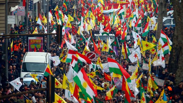 Almanya'nın Köln şehrinde Türkiye'nin Afrin operasyonu protesto edildi - Sputnik Türkiye