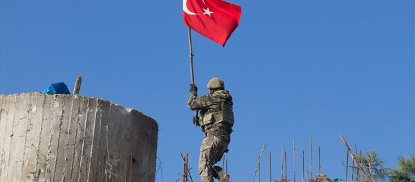 Zeytin Dalı Harekatı'nda Afrin'in kuzeydoğusundaki stratejik Burseya Dağı ele geçirildi. - Sputnik Türkiye