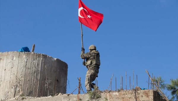 Zeytin Dalı Harekatı'nda Afrin'in kuzeydoğusundaki stratejik Burseya Dağı ele geçirildi. - Sputnik Türkiye