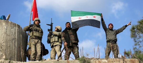 Burseya Dağı, TSK, ÖSO - Sputnik Türkiye