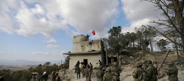 Afrin, Zeytin Dalı Harekatı - Sputnik Türkiye