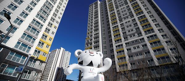 Pyeongchang Kış Olimpiyat Oyunları - Sputnik Türkiye