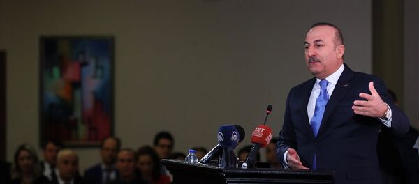 Mevlüt Çavuşoğlu - Sputnik Türkiye