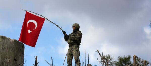 Zeytin Dalı Operasyonu- Burseya Dağı - Sputnik Türkiye