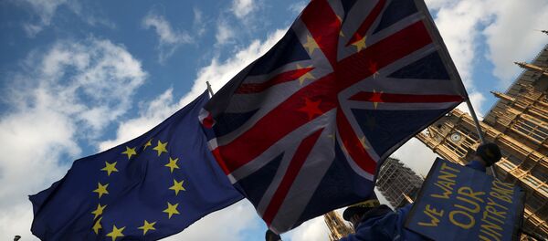 İngiltere parlamentosu önünde Brexit karşıtı bir gösterici - Sputnik Türkiye