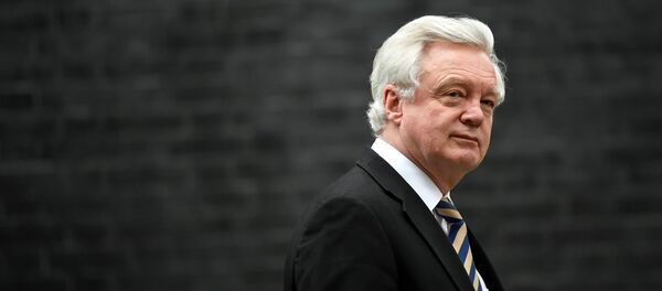 İngiltere'nin Brexit Bakanı David Davis - Sputnik Türkiye