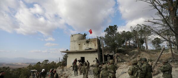 Burseya Dağı-Afrin - Sputnik Türkiye