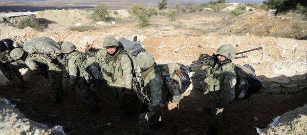 Burseya Dağı Afrin Zeytin Dalı Harekatı - Sputnik Türkiye