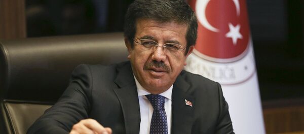 Ekonomi Bakanı Nihat Zeybekci - Sputnik Türkiye