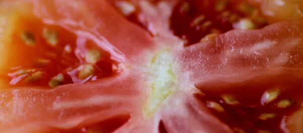 kesilmiş domates - Sputnik Türkiye