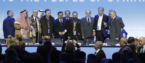 Soçi Suriye Ulusal Diyalog Kongresi - Sputnik Türkiye