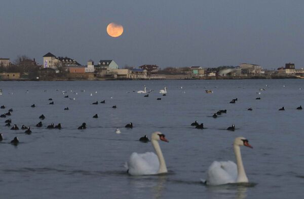 Süper Kanlı Mavi Ay Tutulması, Kırım'ın Yevpatoriya şehrindeki Karadeniz kıyılarından da gözlendi. - Sputnik Türkiye