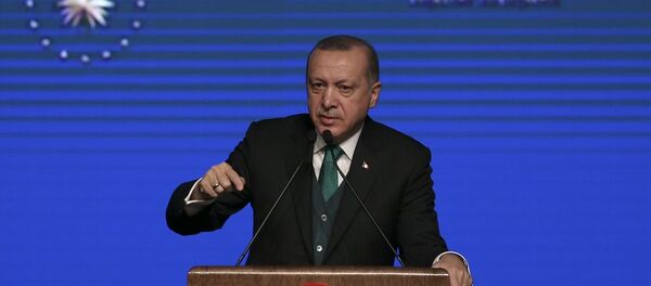 Recep Tayyip Erdoğan - Sputnik Türkiye