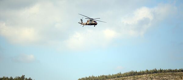Zeytin Dalı Harekatı - Sputnik Türkiye
