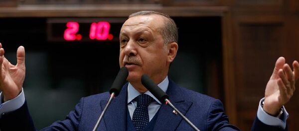 Cumhurbaşkanı Recep Tayyip Erdoğan - Sputnik Türkiye