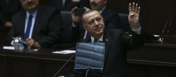 Cumhurbaşkanı Recep Tayyip Erdoğan - Sputnik Türkiye