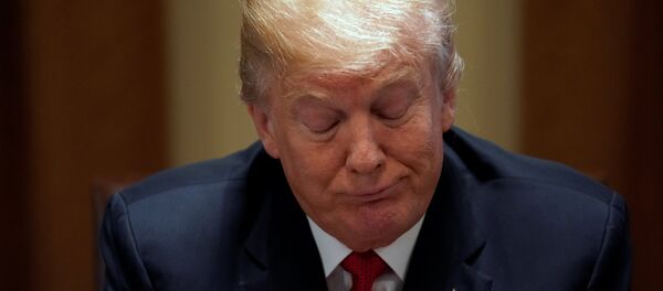 ABD Başkanı Donald Trump - Sputnik Türkiye