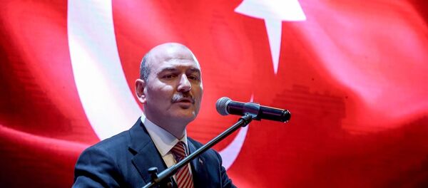 İçişleri Bakanı Süleyman Soylu - Sputnik Türkiye