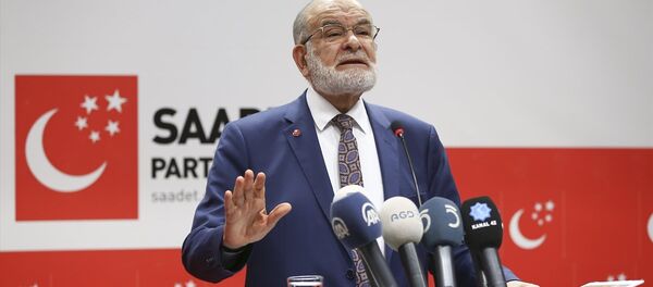Temel Karamollaoğlu - Sputnik Türkiye