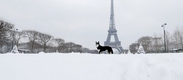 Eyfel Kulesi - Sputnik Türkiye