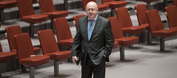 Rusya'nın Birleşmiş Milletler (BM) Daimi Temsilcisi Vasiliy Nebenzya - Sputnik Türkiye