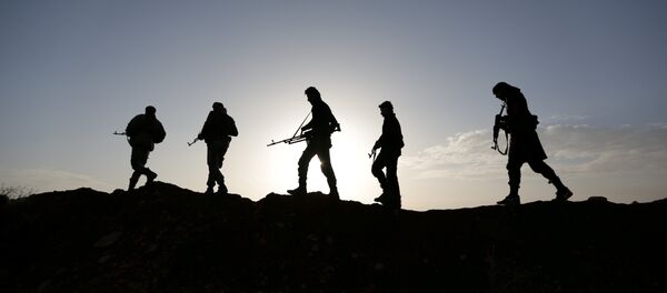 Zeytin Dalı Harekatı, Afrin, TSK, ÖSO - Sputnik Türkiye