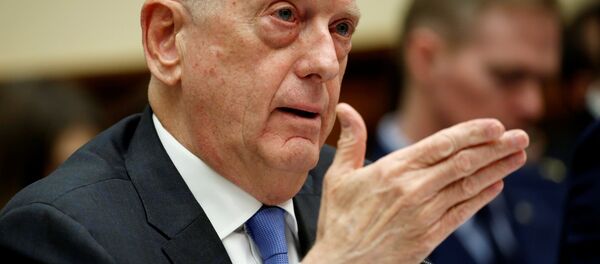 ABD Savunma Bakanı Jim Mattis Temsilciler Meclisi Silahlı Hizmetler Komitesi - Sputnik Türkiye