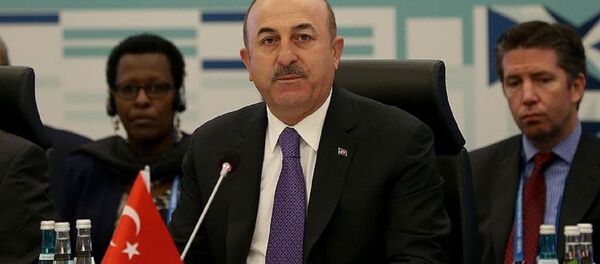 Dışişleri Bakanı Mevlüt Çavuşoğlu - Sputnik Türkiye