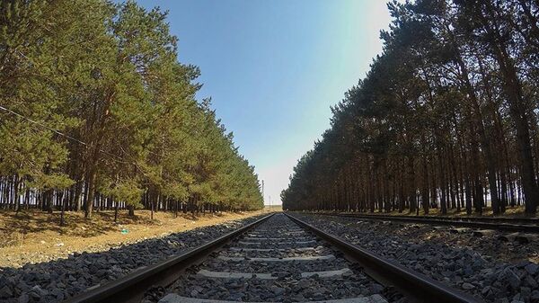 Tren yolu - Sputnik Türkiye