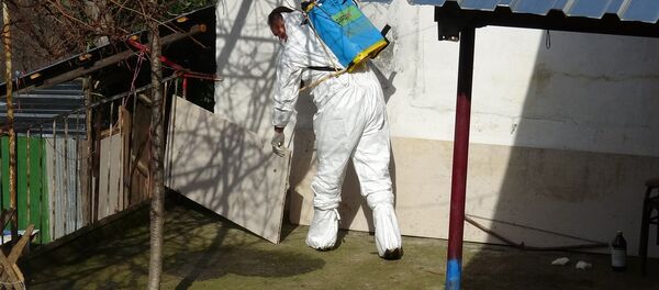 Trabzon-Şarbon - Sputnik Türkiye