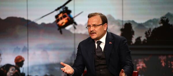 Başbakan Yardımcısı Hakan Çavuşoğlu Başbakan Yardımcısı Hakan Çavuşoğlu - Sputnik Türkiye