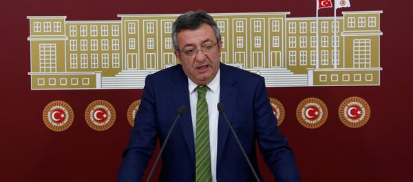 CHP Grup Başkanvekili Engin Altay - Sputnik Türkiye