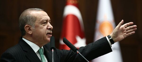 Cumhurbaşkanı ve AK Parti Genel Başkanı Recep Tayyip Erdoğan - Sputnik Türkiye