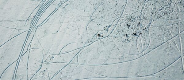 Moskova'da düşen yolcu uçağı - Sputnik Türkiye