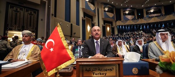 Mevlüt Çavuşoğlu - Sputnik Türkiye