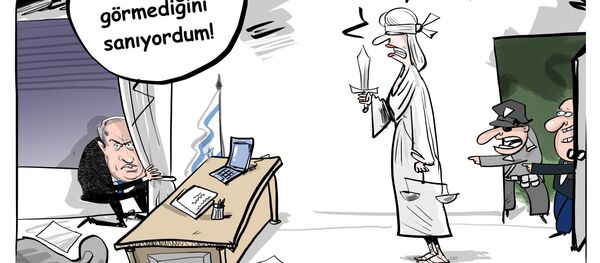 Karikatür - Sputnik Türkiye