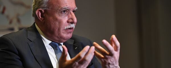 Filistin Dışişleri Bakanı Riyad el Maliki - Sputnik Türkiye