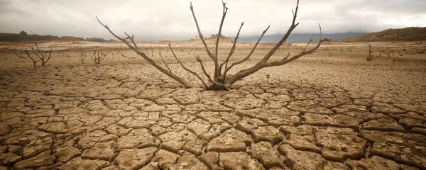 Güney Afrika'nın başkenti Cape Town yakınlarındaki Theewaterskloof Barajı - Sputnik Türkiye