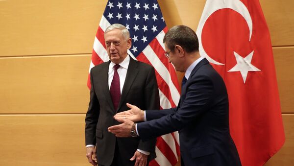 Milli Savunma Bakanı Nurettin Canikli ile ABD Savunma Bakanı James Mattis - Sputnik Türkiye