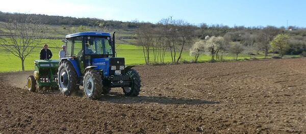 Tarım arazisi - Sputnik Türkiye