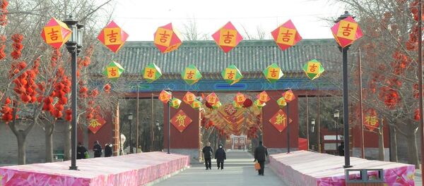 Çin Köpek Yılı'na giriyor - Sputnik Türkiye