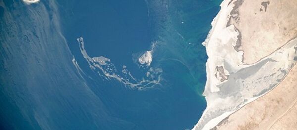 Aral Gölü - Sputnik Türkiye