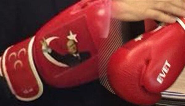 Devlet Bahçeli'den boks eldivenli poz - Sputnik Türkiye