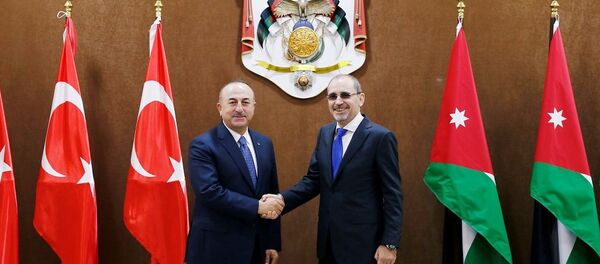 Mevlüt Çavuşoğlu - Eymen Safadi - Sputnik Türkiye