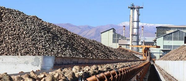 Şeker fabrikası Şeker fabrikası - Sputnik Türkiye