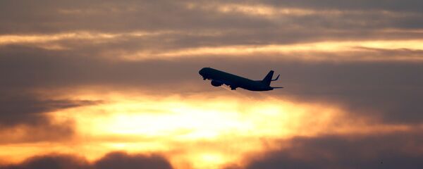 Uçak- Turist- Havalimanı - Sputnik Türkiye